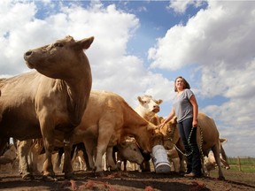 Many Alberta farmers are wondering how proposed new farm safety legislation will affect them.