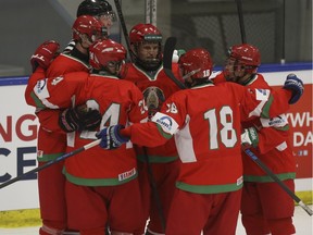 The U18 Belarus National Team celebrates during Mac's Midget hockey tournament exhibition game action against U18 Austria National Team at Max Bell arena in Calgary, on December 24, 2015.