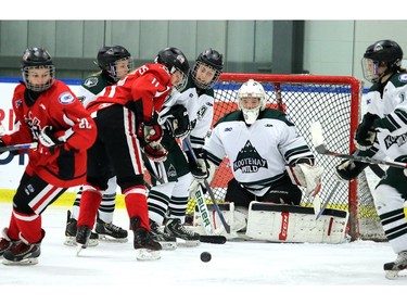 Wild goalie Catlalina Hartland has a net full of trouble as the Northern Capitals were played the Kootaney Wild on December 28, 2015 in the Mac's Midget Tournament rink 2.