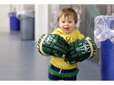Matteo Amantea, 14 months has a pretty big pair of gloves to grow into. He was waiting for his dad who was one of the coaches of the Calgary Northstars who were playing the Sherwood Park Kings at the Max Bell Centre arena one on December 28, 2015.
