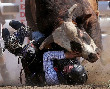 Bull rider Trey Benton III has a close call with Wrangler Extreme during the Calgary Stampede Bull Riding Championship.