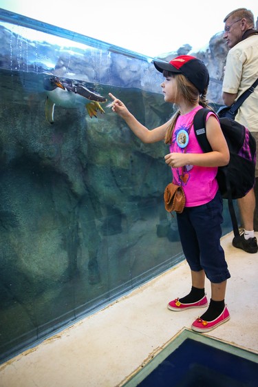 Children visiting on the opening day for the for Calgary Zoo.