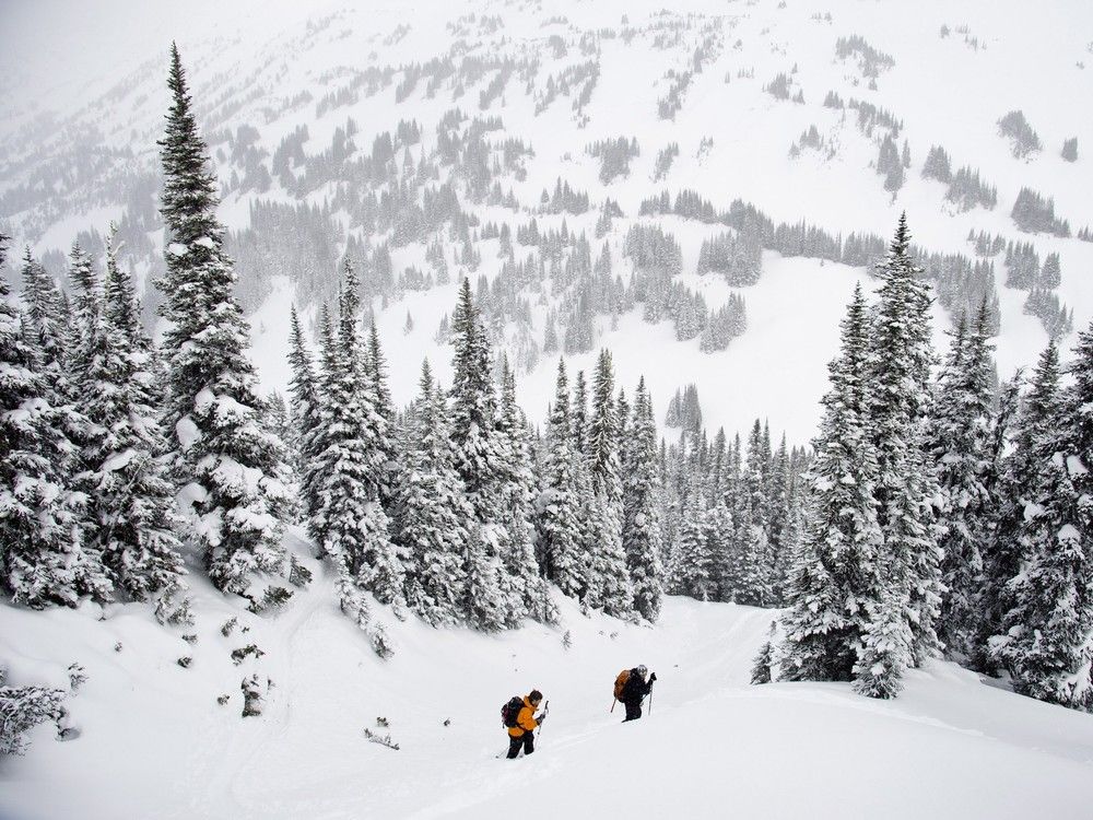 5 tips to get ready for backcountry skiing this winter Calgary Herald