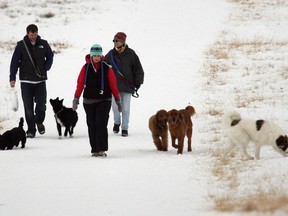 Dogs have a lot to teach us about life, and growing older.