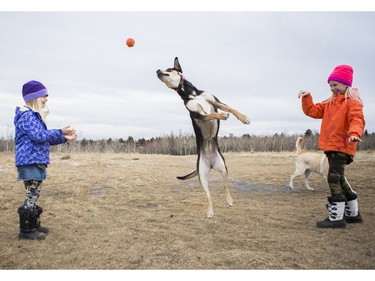 Anna Gilbert, 4, left, plays catch with her sister Clare, 8, as their dog Bean tries to steal the ball away at Edworthy Park in Calgary, on December 4, 2015.