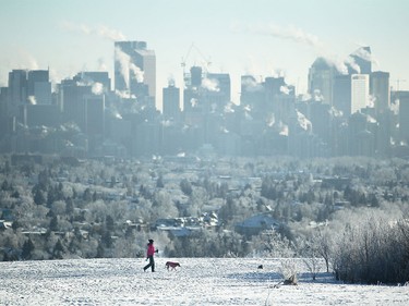A person walks with their dog through the Edworthy Park off-leash area.