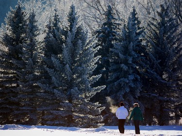 People walk amid the frost covered trees in Calgary on Jan. 8, 2016.