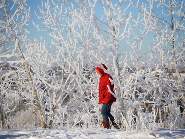 Bonnie Fauteux and her dog Pepper walk amid the frost covered trees in Calgary on Jan. 8, 2016.