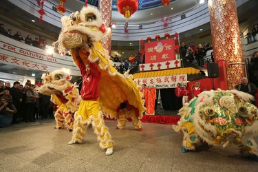 Members of the Calgary Tai Chi and Martial Arts College perform the Lion Dance and hand out red envelopes during the opening ceremonies of the 2016 Year of the Monkey Chinese New Year Carnival at the Chinese Cultural Centre Saturday January 30, 2016. Photo by Leah Hennel/Postmedia.