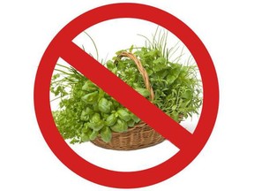 No herbs