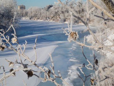 Hoar frost makes everything look like a winter wonderland as it coats all the trees along the Bow River in Calgary on Jan. 9, 2016.