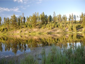 A working ranch near Invermere has been protected by the Nature Conservancy of Canada.