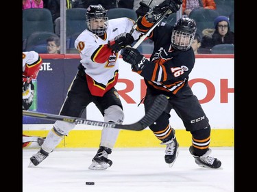 The Lloydminster Pipeline Bobcats Zane Franklin, right and the Calgary Flames' Jonathan Tychonick scramble for the puck during the Mac's Midget Boy's Championship game at the Scotiabank Saddledome on New Year's Day.