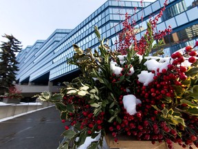 Snow-laden plants stand outside of City Hall in downtown Calgary on Monday, Jan. 25.