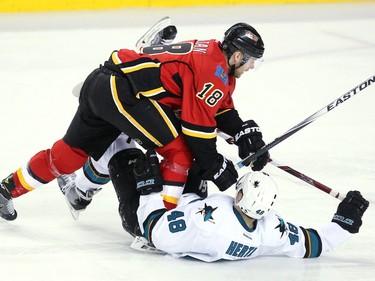 Calgary Flames centre Matt Stajan sent San Jose Sharks centre Tomas Hertl crashing to the ice during second period NHL action at the Scotiabank Saddledome on January 11, 2016.