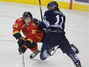 Dinos' Cain Franson, left, is hit by Cougars' Brent Zarazun during the men's game of the Crowchild Classic at the Scotiabank Saddledome. Earlier, the Dinos won the women's match between the squads by a 3-2 score.