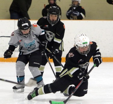 Connor Bergsteinsson with the Simons Valley Storm SV Novice 5 watches as Aric Baer from the Cobras Crowfoot Novice 6 takes a fall during a Novice North Esso Minor Hockey Week at Shouldice Arena, on January 16, 2016. (Christina Ryan/Calgary Herald)