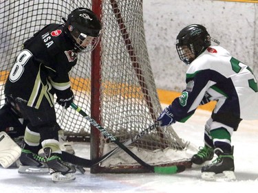 Henry Coombe with the Springbank Rockies N7 Blue tries a wraparound as Wyatt Irsa from the Crowfoot Sharks N7 makes the block during a Novice North Esso Minor Hockey Week at Shouldice Arena on Jan. 16, 2016.