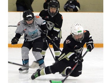 Connor Bergsteinsson with the Simons Valley Storm SV Novice 5 watches as Aric Baer from the Cobras Crowfoot Novice 6 takes a fall during a Novice North Esso Minor Hockey Week at Shouldice Arena on Jan. 16, 2016.