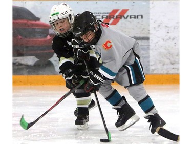 Aric Baer with the Cobras Crowfoot Novice 6 tries to get the puck from Simons Valley Storm SV Novice 5 during a Novice North Esso Minor Hockey Week at Shouldice Arena on Jan. 16, 2016.