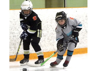 Owen Gallant with the Simons Valley Storm SV Novice 5 keeps the puck from Prayan Shrestha from the Cobras Crowfoot Novice 6 takes a fall during a Novice North Esso Minor Hockey Week at Shouldice Arena on Jan. 16, 2016.