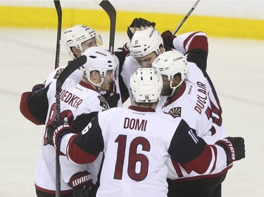 Arizona Coyotes celebrate after a goal during game action against the Calgary Flames at the Scotiabank Saddledome in Calgary, on January 7, 2016.