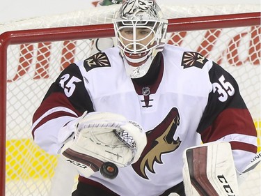 Arizona Coyotes goalie Louis Domingue gloves a puck during game action against the Flames at the Scotiabank Saddledome in Calgary, on January 7, 2016.