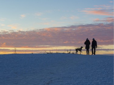 Richard Charles, right, and Kathryn Kaldestad, take Misty, Kaldestad's Weimaraner breed dog, for a sunrise walk in the park in Calgary, on January 12, 2016.