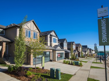 The award-winning builder group in Nolan Hill includes Homes by Avi, Morrison Homes, Shane Homes, Sterling Homes and Trico Homes. 20 show homes are now open showcasing first and second move up homes on 29 to 34 foot lots and estate-style homes backing on to green space.