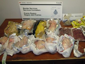 On December 6, 2015, CBSA detector dog Kodiak intercepted a large quantity of prohibited and undeclared food and animal products found in the suitcase of a traveller coming in from Egypt including 9.55 kg whole raw duck, 6.6 kg whole raw chicken, 3.33 kg pastrami, 1.77 kg homemade butter, 92.5 grams miscellaneous seeds (unpackaged) and 750 grams of milk.