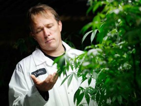 Bruce Linton, chief executive of Canopy Growth Corp., checks some of his medical marijuana plants at the Smith Falls facility.