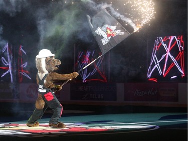 Howie the Honey Badger revs up the crowd during the opening ceremonies at the Calgary Roughnecks season opener against the  Saskatchewan Rush Saturday January 2, 2015 at the Saddledome.
