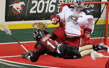 Calgary Roughnecks goalie Frankie Scigliano blocks a shot on net from Colorado Mammoth Chris Wardle during game action at the Scotiabank Saddledome in Calgary, Alta. on Saturday February 13, 2016. Leah Hennel/Postmedia