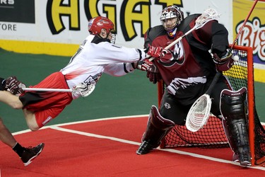 Colorado Mammoth netminder Dillon Ward makes a save on Calgary Roughnecks Curtis Dickson, left, during game action at the Scotiabank Saddledome in Calgary, Alta. on Saturday February 13, 2016. Leah Hennel/Postmedia