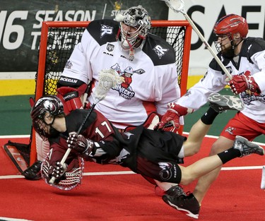Calgary Roughnecks goalie Frankie Scigliano blocks a shot on net from Colorado Mammoth Chris Wardle during game action at the Scotiabank Saddledome in Calgary, Alta. on Saturday February 13, 2016. Leah Hennel/Postmedia
