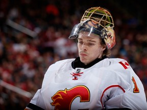 Goaltender Jonas Hiller skates Friday night during a game against the Arizona Coyotes.  (Christian Petersen/Getty Images)