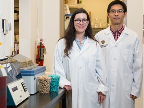 A recent study, using mice, out of the Hotchkiss Brain Institute (HBI) at the University of Calgary has discovered that a high-fat, sweetened diet can rapidly rewire the reward circuits in the brain. (Riley Brant/University of Calgary)