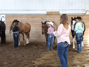 Instructors, students and their steeds in a showmanship class at the Joseph Rae Equestrian School in Hardisty, Alta.