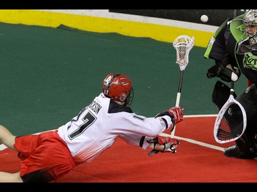 Calgary Roughnecks Curtis Dickson makes a diving shot against Saskatchewan Rush goalie Aaron Bold in NLL action at the Scotiabank Saddledome in Calgary, Alta. on Sunday February 28, 2016. Mike Drew/Postmedia