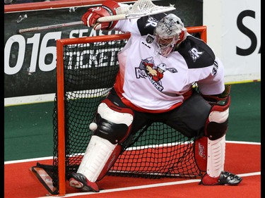 They ball bounces off the leg of Calgary Roughnecks goalie Mike Poulin for the win by the Saskatchewan Rush in overtime in NLL action at the Scotiabank Saddledome in Calgary, Alta. on Sunday February 28, 2016. The Roughnecks lost in overtime 12-11. Mike Drew/Postmedia