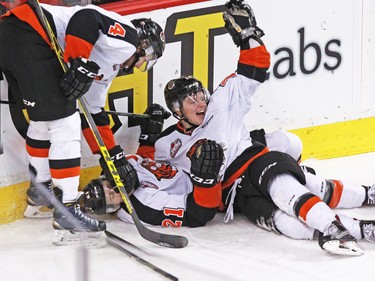 The Medicine Hat Tigers celebrate Chad Butcher's overtime goal to down the Calgary Hitmen 3-2 in WHL action at the Scotiabank Saddledome on Sunday February 21, 2016.