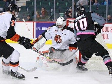 Calgary Hitmen Jakob Stukel was stopped by Medicine Hat Tigers goaltender Mack Shields during WHL action against at the Scotiabank Saddledome on Sunday February 21, 2016. The Tigers won the game 3-2 in overtime.