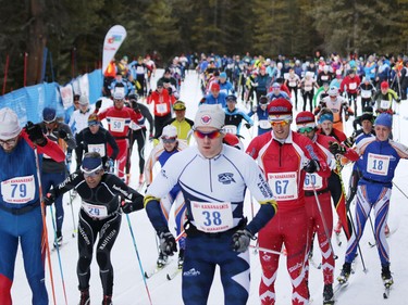 Racers in the full 42 km event of the Kananaskis Ski Marathon (a.k.a. the Cookie Race) race from the start at the 39th annual edition of the loppet in Peter Lougheed Provincial Park on Saturday February 27, 2016.