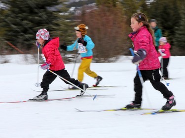 Young skiers race off the start in the 1km event at the 39th Cookie Race loppet in Peter Lougheed Provincial Park on Saturday February 27, 2016.