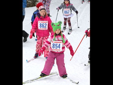 Young skiers climb a hill in the 500 M event at the 39th Cookie Race loppet in Peter Lougheed Provincial Park on Saturday February 27, 2016.