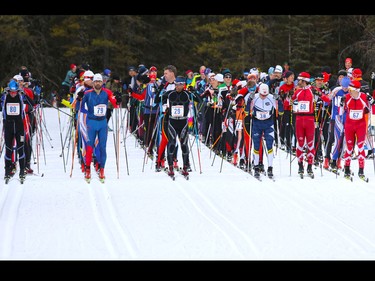 Racers in the full 42 km event of the Kananaskis Ski Marathon (a.k.a. the Cookie Race) wait for the start at the 39th annual edition of the loppet in Peter Lougheed Provincial Park on Saturday February 27, 2016.