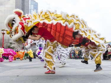 Dancers leap with their lion costume during a Chinese New Year celebration outside of the Chinese Cultural Centre in downtown Calgary, Alta., on Sunday, Feb. 7, 2016. The Chinese community is celebrating the Year of the Monkey. Lyle Aspinall/Postmedia Network