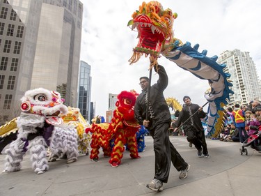 A dragon is carried past lions during a Chinese New Year celebration outside of the Chinese Cultural Centre in downtown Calgary, Alta., on Sunday, Feb. 7, 2016. The Chinese community is celebrating the Year of the Monkey. Lyle Aspinall/Postmedia Network
