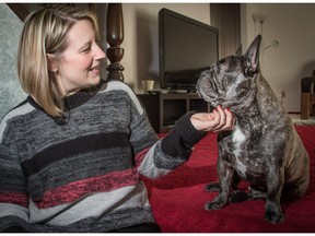 Donna Williams with her foster dog, French bulldog Pierre, at their home in Calgary on Saturday February 13, 2016.