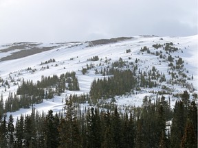 Parker Ridge along the Icefields Parkway in April 2015.